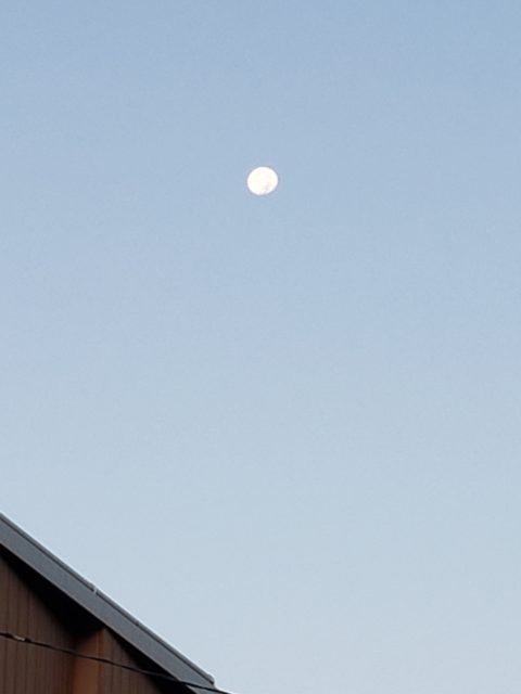 Moon！！